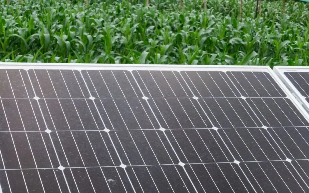 solar-module-cleaning-How-do-you-maintain-a-solar module