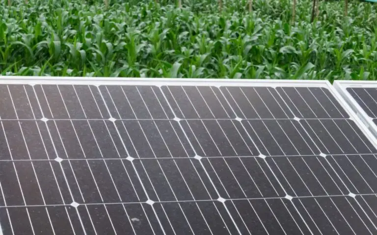 Solar-Module-Cleaning-How-Do-You-Maintain-A-Solar Module