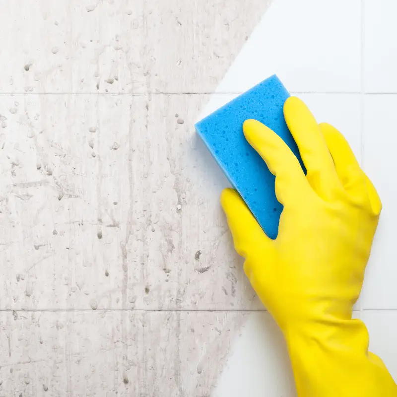 Primewave_ Surface-Cleaning_Window Cleaning_10C